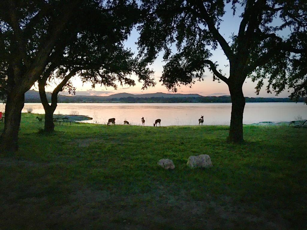 Medina Lake Camping Resort Cabin 3 Lakehills エクステリア 写真